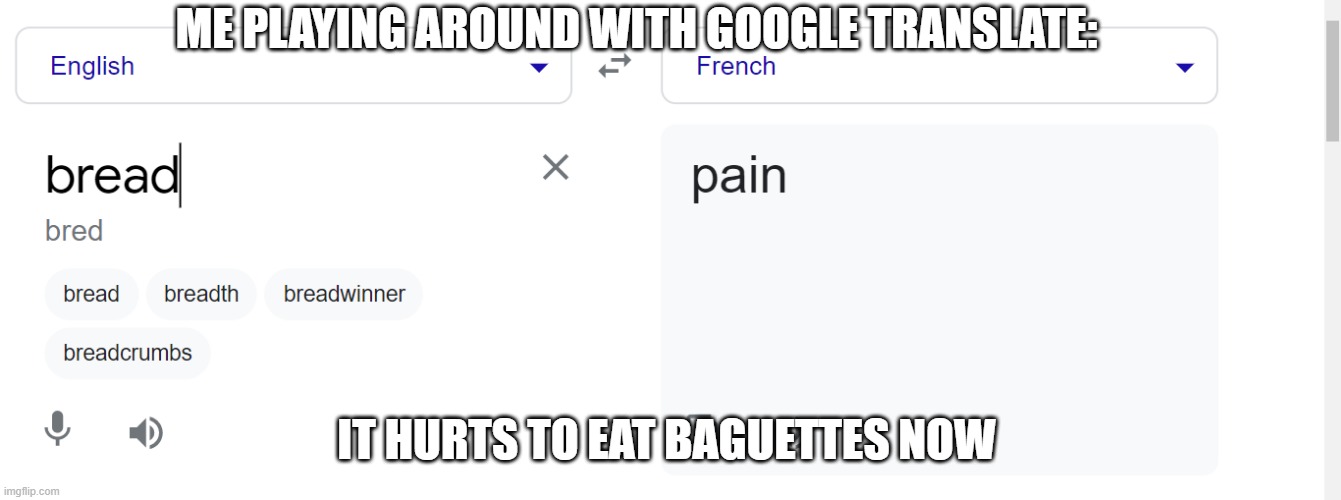 I just hurt myself in French. | ME PLAYING AROUND WITH GOOGLE TRANSLATE:; IT HURTS TO EAT BAGUETTES NOW | image tagged in memes,google translate,bread | made w/ Imgflip meme maker