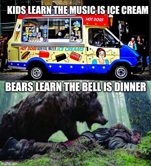 KIDS LEARN THE MUSIC IS ICE CREAM BEARS LEARN THE BELL IS DINNER | image tagged in ice cream truck,bear attack | made w/ Imgflip meme maker