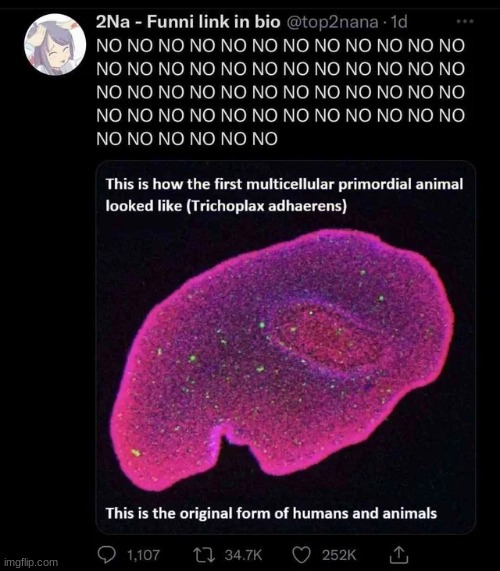 GET OUT OF MY HEAD! GET OUT OF MY HEAD! GET OUT OF MY HEAD! GET OUT OF MY HEAD! GET OUT OF MY HEAD!GET OUT OF MY HEAD! GET OUT O | made w/ Imgflip meme maker