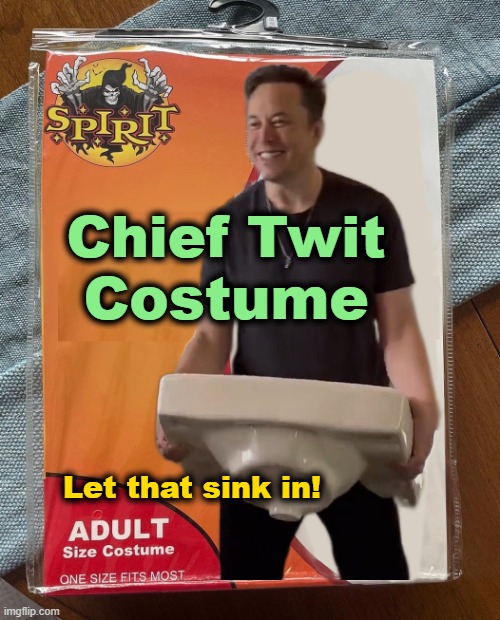 Great Costume Idea | Costume; Chief Twit; Let that sink in! | image tagged in chief twit,elon musk,costume,twitter | made w/ Imgflip meme maker