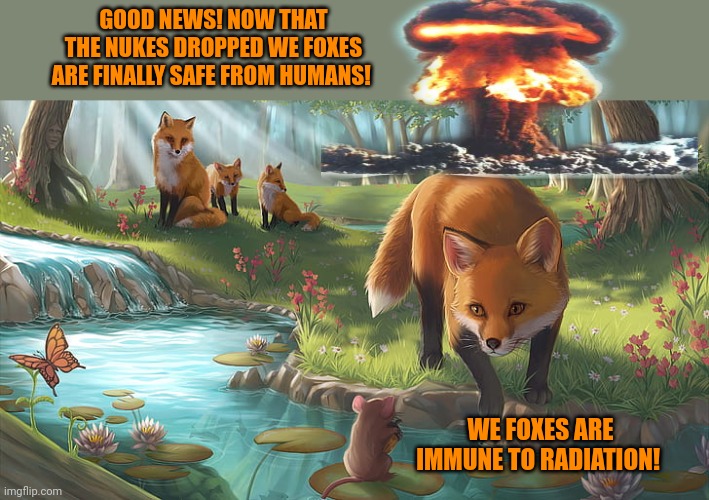 Important fox facts | GOOD NEWS! NOW THAT THE NUKES DROPPED WE FOXES ARE FINALLY SAFE FROM HUMANS! WE FOXES ARE IMMUNE TO RADIATION! | image tagged in foxes,love,nuclear war | made w/ Imgflip meme maker