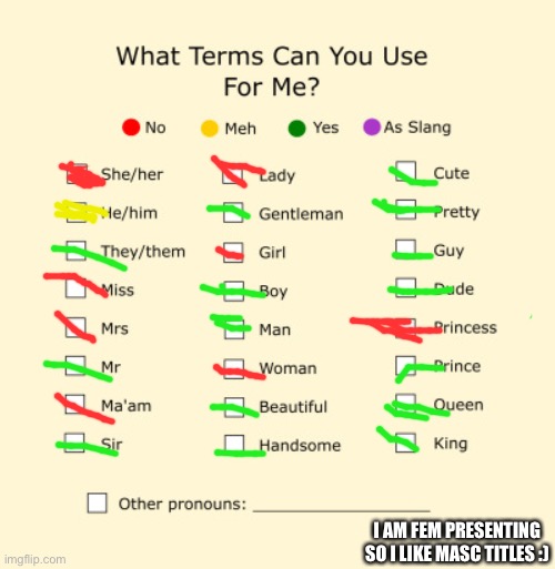 Pronouns Sheet | I AM FEM PRESENTING SO I LIKE MASC TITLES :) | image tagged in pronouns sheet | made w/ Imgflip meme maker