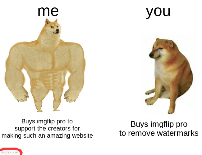 the difference between you and I | me; you; Buys imgflip pro to support the creators for making such an amazing website; Buys imgflip pro to remove watermarks | image tagged in memes,buff doge vs cheems | made w/ Imgflip meme maker