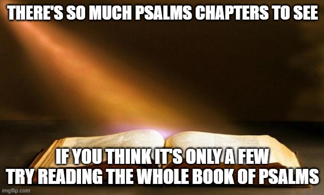Yep, probable around 150 chapters. | THERE'S SO MUCH PSALMS CHAPTERS TO SEE; IF YOU THINK IT'S ONLY A FEW TRY READING THE WHOLE BOOK OF PSALMS | image tagged in bible | made w/ Imgflip meme maker