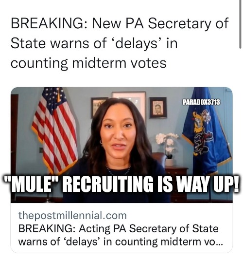 Is "2000 Mules" about to get a sequel? | PARADOX3713; "MULE" RECRUITING IS WAY UP! | image tagged in memes,politics,democrats,republicans,voter fraud,pennsylvania | made w/ Imgflip meme maker