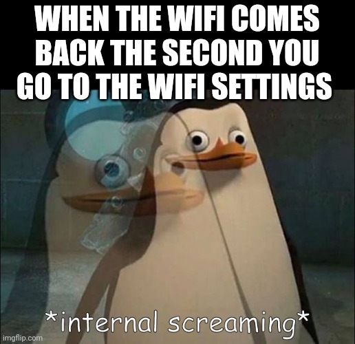 Got this idea from an Iceu meme from November last year |  WHEN THE WIFI COMES BACK THE SECOND YOU GO TO THE WIFI SETTINGS | image tagged in private internal screaming | made w/ Imgflip meme maker