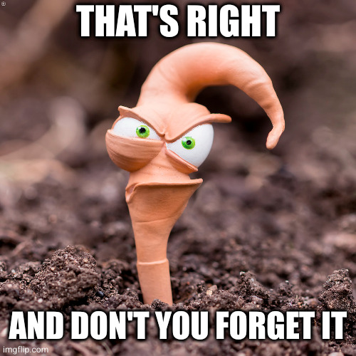 earthworm jim | THAT'S RIGHT AND DON'T YOU FORGET IT | image tagged in earthworm jim | made w/ Imgflip meme maker