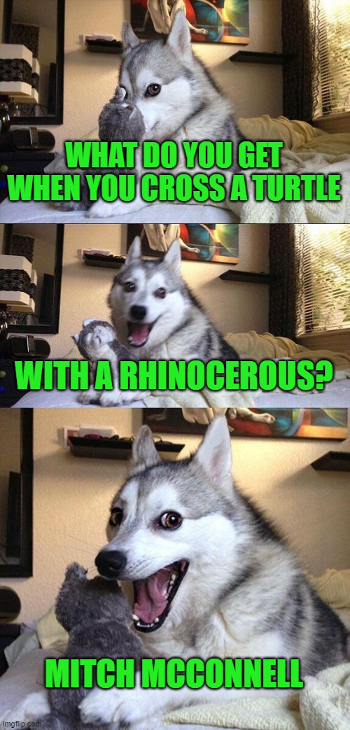 Bad Pun Dog Meme | WHAT DO YOU GET WHEN YOU CROSS A TURTLE WITH A RHINOCEROUS? MITCH MCCONNELL | image tagged in memes,bad pun dog | made w/ Imgflip meme maker