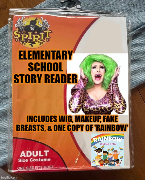 Everything that one needs | ELEMENTARY SCHOOL STORY READER; INCLUDES WIG, MAKEUP, FAKE BREASTS, & ONE COPY OF 'RAINBOW' | image tagged in spirit halloween | made w/ Imgflip meme maker