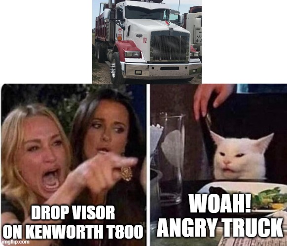 emotional trucks 2 | WOAH! ANGRY TRUCK; DROP VISOR ON KENWORTH T800 | image tagged in lady screams at cat | made w/ Imgflip meme maker