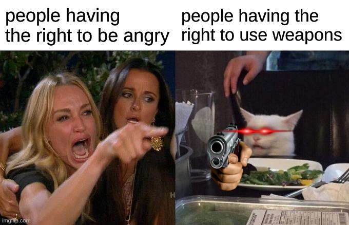 Woman Yelling At Cat | people having the right to be angry; people having the right to use weapons | image tagged in memes,woman yelling at cat | made w/ Imgflip meme maker