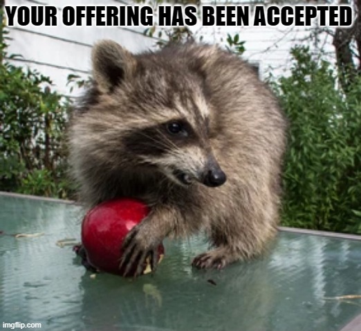 Raccoon With Apple | YOUR OFFERING HAS BEEN ACCEPTED | image tagged in raccoon with apple | made w/ Imgflip meme maker