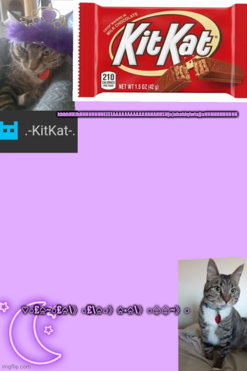 Kittys announcement template kitkat addition | hhhhHHJhHHHHHHHHEEEEAAAAAAAAAAAHAHAHHSHjajahahiqiwiajjaHHHHHHHHHHH; ♡○£♤~○£♤\》○£\♤○》♤▪︎♤\》○♤♤~》○ | image tagged in kittys announcement template kitkat addition | made w/ Imgflip meme maker