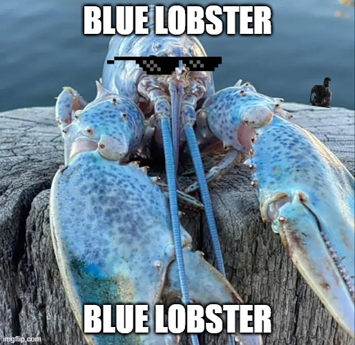 bluelobster | BLUE LOBSTER; BLUE LOBSTER | image tagged in the blue lobster | made w/ Imgflip meme maker