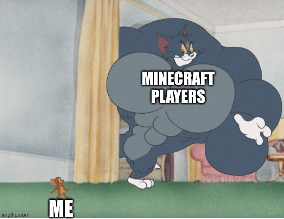 Strong tom | MINECRAFT PLAYERS; ME | image tagged in strong tom | made w/ Imgflip meme maker
