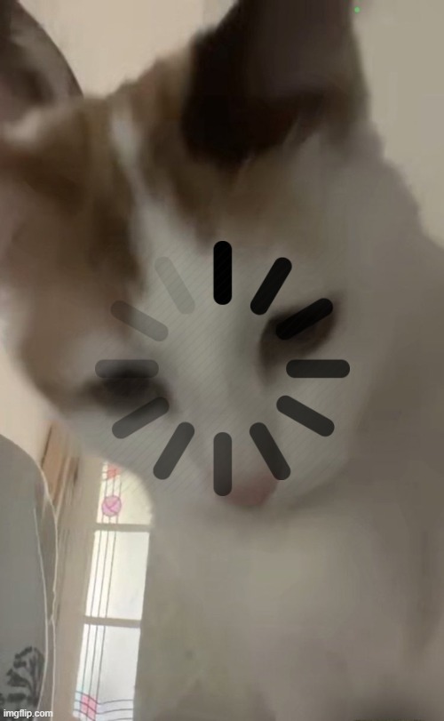 Cat.exe has stopped working | image tagged in error | made w/ Imgflip meme maker