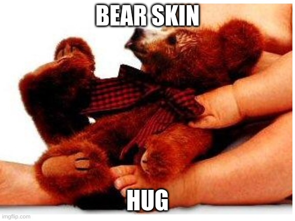 BEAR SKIN HUG | made w/ Imgflip meme maker