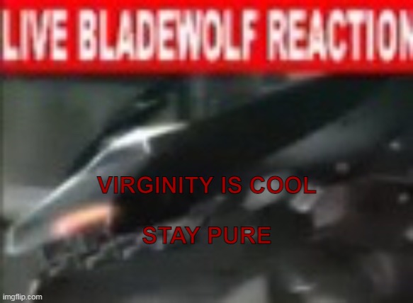 Live Bladewolf Reaction | VIRGINITY IS COOL
 
STAY PURE | image tagged in live bladewolf reaction | made w/ Imgflip meme maker