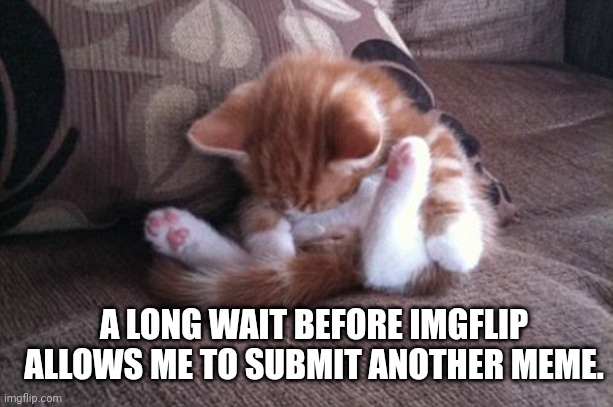 Cat sleeping in awkward position. | A LONG WAIT BEFORE IMGFLIP ALLOWS ME TO SUBMIT ANOTHER MEME. | image tagged in cat sleeping in awkward position | made w/ Imgflip meme maker