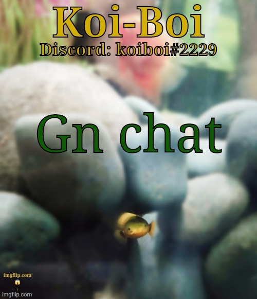 Gn chat | image tagged in rope fish template | made w/ Imgflip meme maker