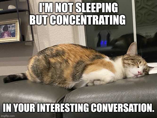 Too tired | I'M NOT SLEEPING BUT CONCENTRATING; IN YOUR INTERESTING CONVERSATION. | image tagged in too tired | made w/ Imgflip meme maker
