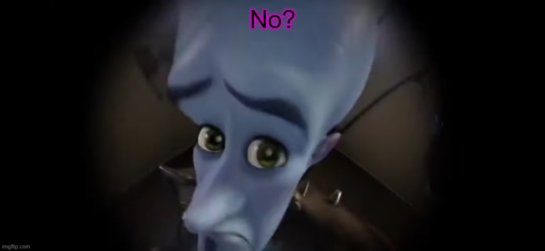 No ...? | No? | image tagged in no | made w/ Imgflip meme maker