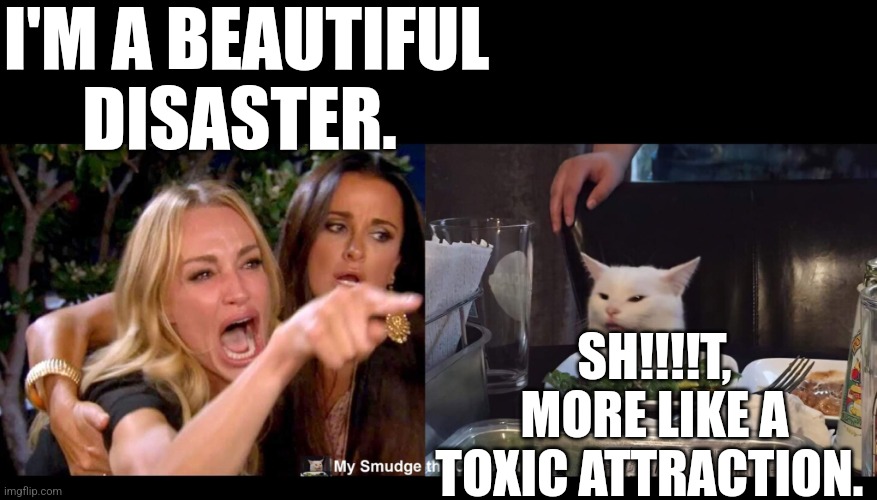I'M A BEAUTIFUL DISASTER. SH!!!!T, MORE LIKE A TOXIC ATTRACTION. | image tagged in smudge the cat | made w/ Imgflip meme maker