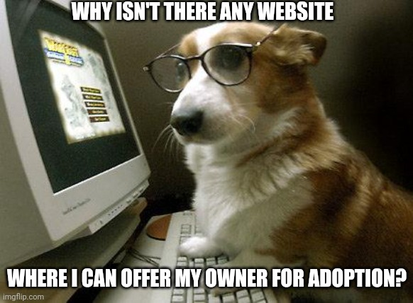 Smart Dog | WHY ISN'T THERE ANY WEBSITE; WHERE I CAN OFFER MY OWNER FOR ADOPTION? | image tagged in smart dog | made w/ Imgflip meme maker
