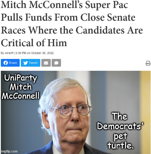 Mitch the Democrats' Bitch | UniParty
Mitch
McConnell; The 
Democrats'
pet
turtle. | image tagged in memes,politics | made w/ Imgflip meme maker