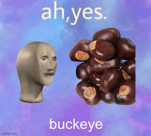 Ah yes | buckeye | image tagged in ah yes | made w/ Imgflip meme maker