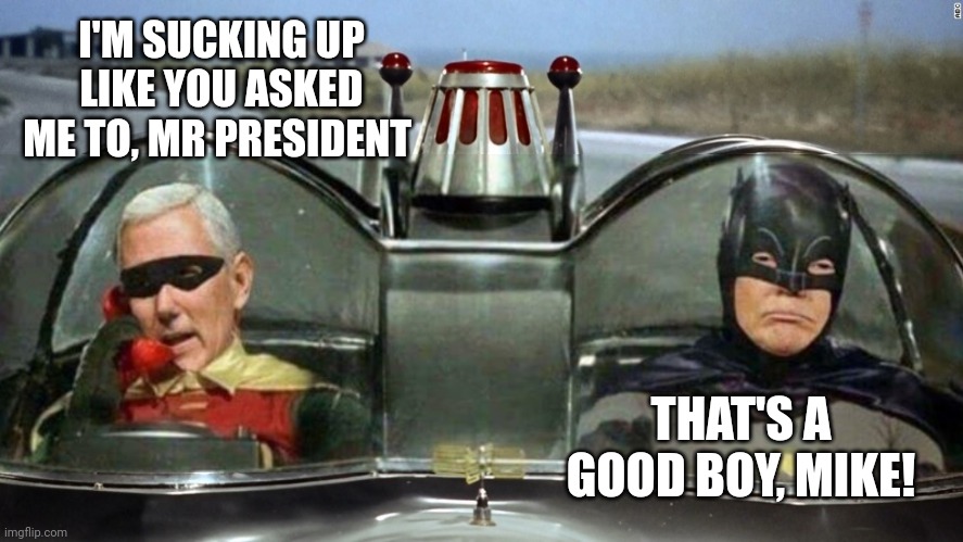 Trump Batman Pence Robin | I'M SUCKING UP LIKE YOU ASKED ME TO, MR PRESIDENT; THAT'S A GOOD BOY, MIKE! | image tagged in trump batman pence robin | made w/ Imgflip meme maker