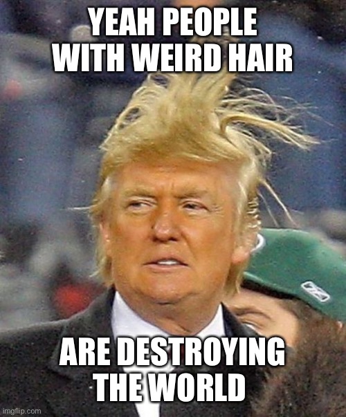 Donald Trumph hair | YEAH PEOPLE WITH WEIRD HAIR ARE DESTROYING THE WORLD | image tagged in donald trumph hair | made w/ Imgflip meme maker