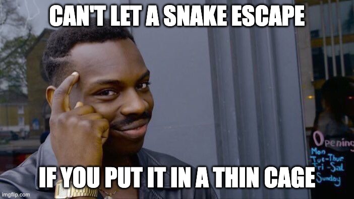 Snake Trap |  CAN'T LET A SNAKE ESCAPE; IF YOU PUT IT IN A THIN CAGE | image tagged in memes,roll safe think about it,snakes,snake trap,cages | made w/ Imgflip meme maker