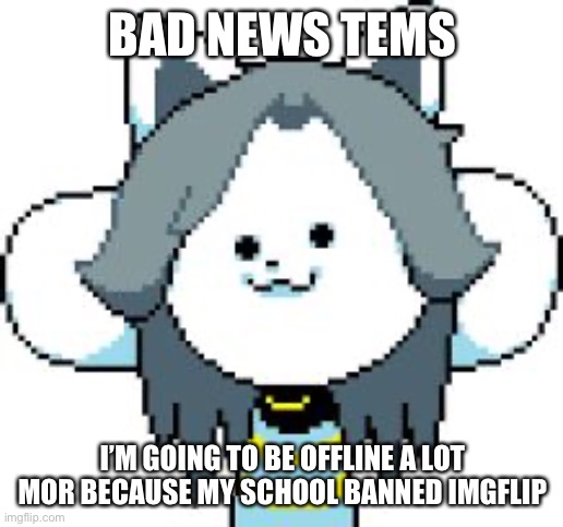 didn’t think of any better TEMplates to use. | BAD NEWS TEMS; I’M GOING TO BE OFFLINE A LOT MOR BECAUSE MY SCHOOL BANNED IMGFLIP | image tagged in temmie,template,haha funny pun | made w/ Imgflip meme maker