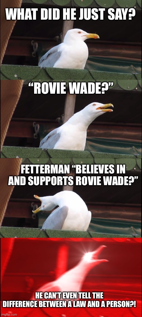 Fetterman Fail | WHAT DID HE JUST SAY? “ROVIE WADE?”; FETTERMAN “BELIEVES IN AND SUPPORTS ROVIE WADE?”; HE CAN’T EVEN TELL THE DIFFERENCE BETWEEN A LAW AND A PERSON?! | image tagged in memes,inhaling seagull,john fetterman | made w/ Imgflip meme maker