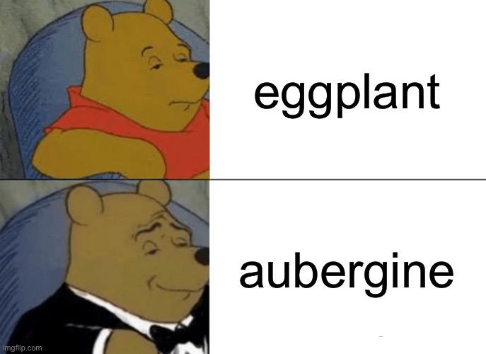 mmm fanci | eggplant; aubergine | image tagged in memes,tuxedo winnie the pooh | made w/ Imgflip meme maker