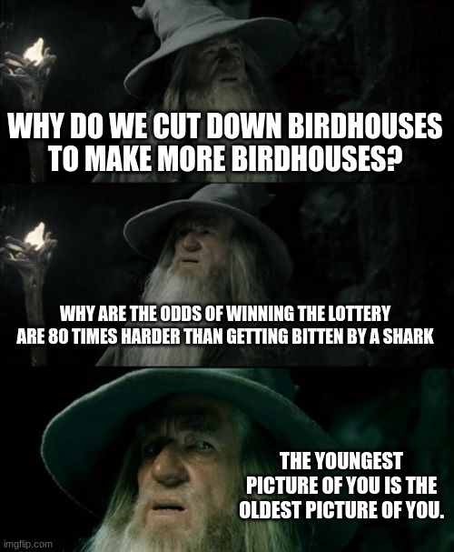 This is very confusing... (Part 2) | WHY DO WE CUT DOWN BIRDHOUSES TO MAKE MORE BIRDHOUSES? WHY ARE THE ODDS OF WINNING THE LOTTERY ARE 80 TIMES HARDER THAN GETTING BITTEN BY A SHARK; THE YOUNGEST PICTURE OF YOU IS THE OLDEST PICTURE OF YOU. | image tagged in memes,confused gandalf | made w/ Imgflip meme maker
