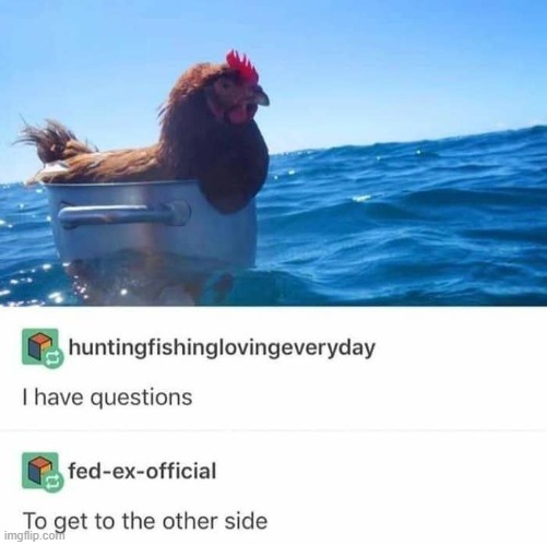 image tagged in puns | made w/ Imgflip meme maker