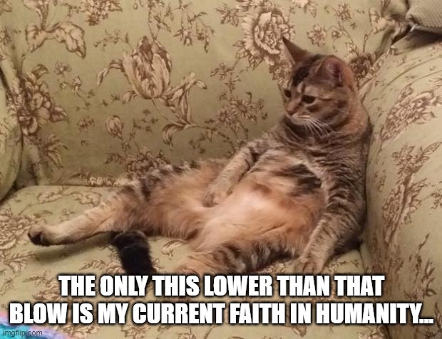 Mocha Chilling | THE ONLY THIS LOWER THAN THAT BLOW IS MY CURRENT FAITH IN HUMANITY... | image tagged in mocha chilling | made w/ Imgflip meme maker