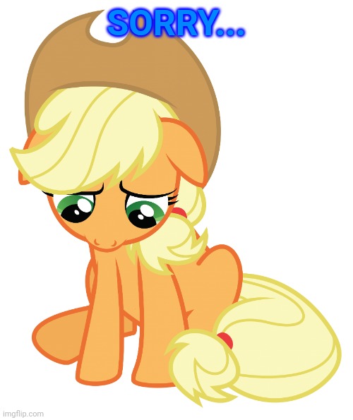 Sad Applejack Transparent | SORRY... | image tagged in sad applejack transparent | made w/ Imgflip meme maker