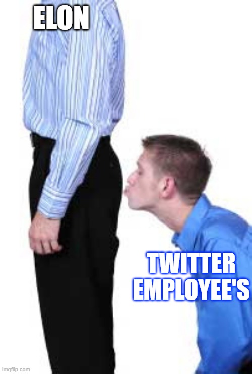 Elons first day at Twitter | ELON; TWITTER EMPLOYEE'S | image tagged in elon musk,elon musk laughing,elon musk buying twitter,twitter,twitter birds says,funny because it's true | made w/ Imgflip meme maker