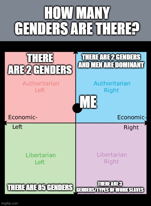 authunity ftw | HOW MANY GENDERS ARE THERE? THERE ARE 2 GENDERS; THERE ARE 2 GENDERS AND MEN ARE DOMINANT; ME; THERE ARE 3 GENDERS/TYPES OF WORK SLAVES; THERE ARE 85 GENDERS | image tagged in political compass | made w/ Imgflip meme maker