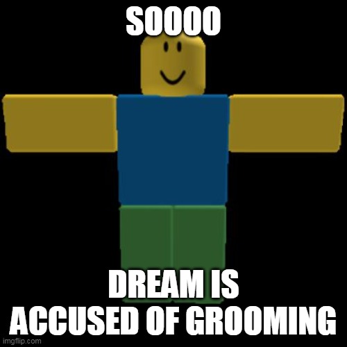 the stans disliked his face | SOOOO; DREAM IS ACCUSED OF GROOMING | image tagged in roblox noob t-posing | made w/ Imgflip meme maker