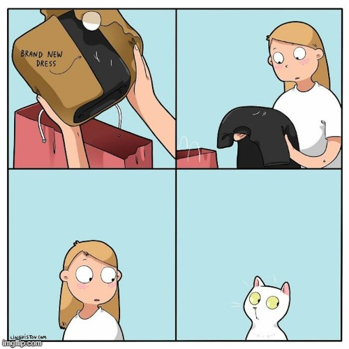 A Cat's Way Of Thinking | image tagged in memes,comics,cats,hair,everywhere,what are you talking about | made w/ Imgflip meme maker