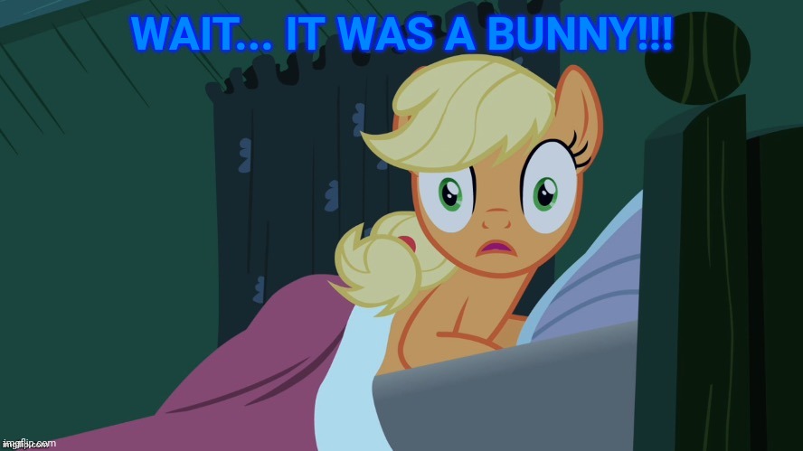 Applejack shocked in bed | WAIT... IT WAS A BUNNY!!! | image tagged in applejack shocked in bed | made w/ Imgflip meme maker