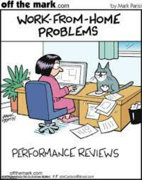 image tagged in memes,comics,cats,work from home,performance,review | made w/ Imgflip meme maker