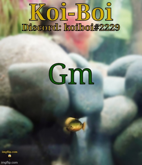 Gm | image tagged in rope fish template | made w/ Imgflip meme maker