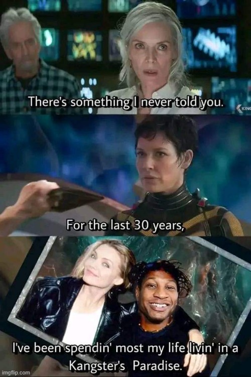 Damnit, Janet | image tagged in ant man,janet | made w/ Imgflip meme maker