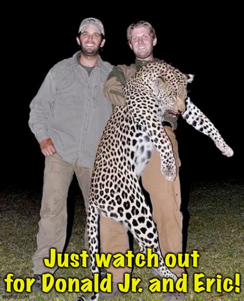 Just watch out for Donald Jr. and Eric! | made w/ Imgflip meme maker
