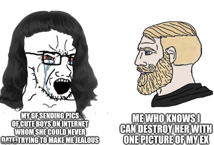 MY GF SENDING PICS OF CUTE BOYS ON INTERNET WHOM SHE COULD NEVER DATE, TRYING TO MAKE ME JEALOUS; ME WHO KNOWS I CAN DESTROY HER WITH ONE PICTURE OF MY EX | made w/ Imgflip meme maker